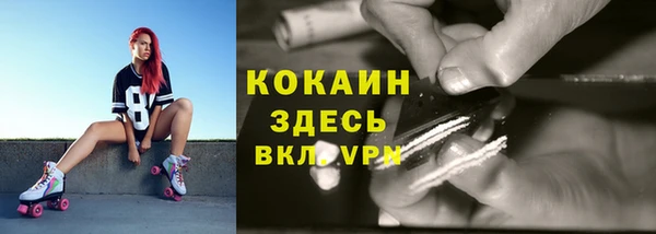 мет Алексин