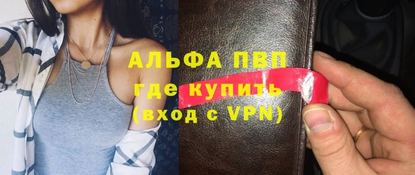 мет Алексин