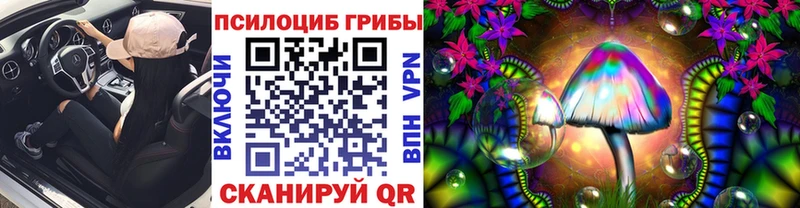 кракен онион  Пролетарск  Псилоцибиновые грибы мицелий  купить  
